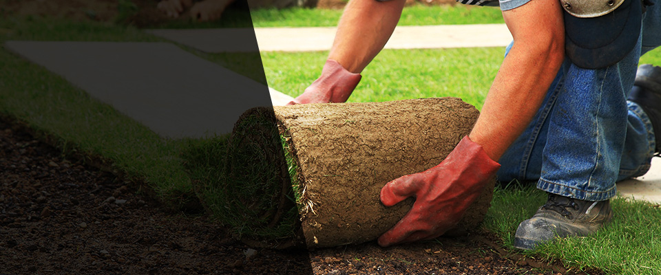 Moultrie Landscapers